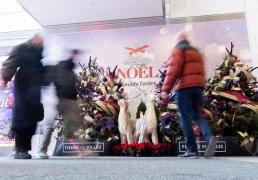 多伦多举办城市(shì)花艺展