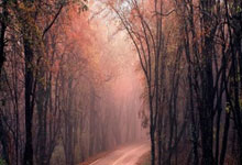 法兰西的传承：格列(liè)兹曼铸就歐(ōu)冠新里程碑