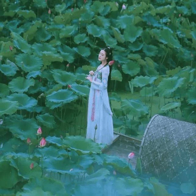 太(tài)极音乐大合集，送给练太(tài)极的你！（附下载链接）