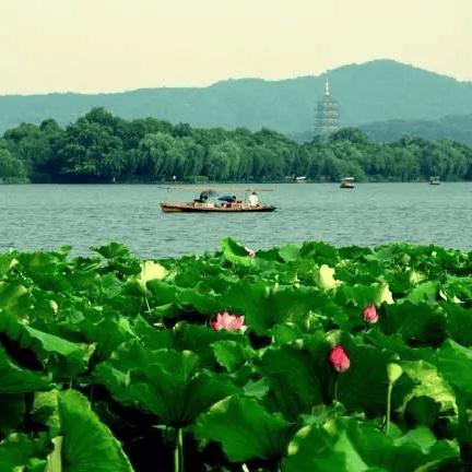 太(tài)极音乐大合集，送给练太(tài)极的你！（附下载链接）