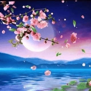 太(tài)极音乐大合集，送给练太(tài)极的你！（附下载链接）