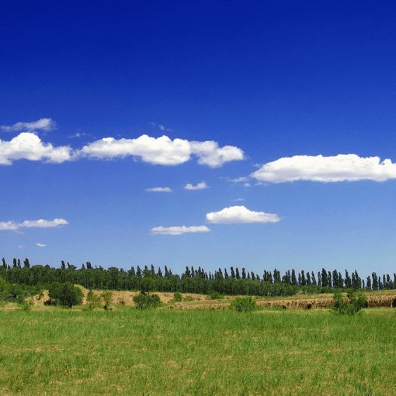 太(tài)极音乐大合集，送给练太(tài)极的你！（附下载链接）