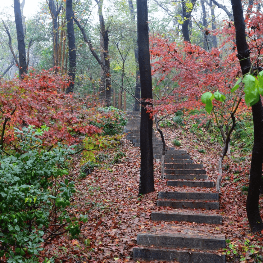 太(tài)极音乐大合集，送给练太(tài)极的你！（附下载链接）