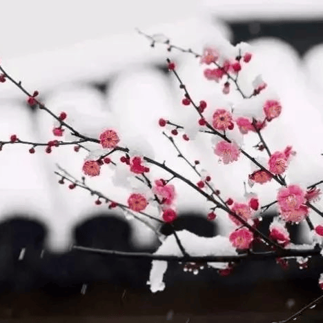 太(tài)极音乐大合集，送给练太(tài)极的你！（附下载链接）