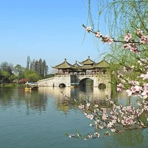 太(tài)极音乐大合集，送给练太(tài)极的你！（附下载链接）