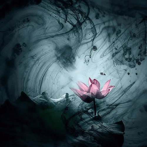 太(tài)极音乐大合集，送给练太(tài)极的你！（附下载链接）